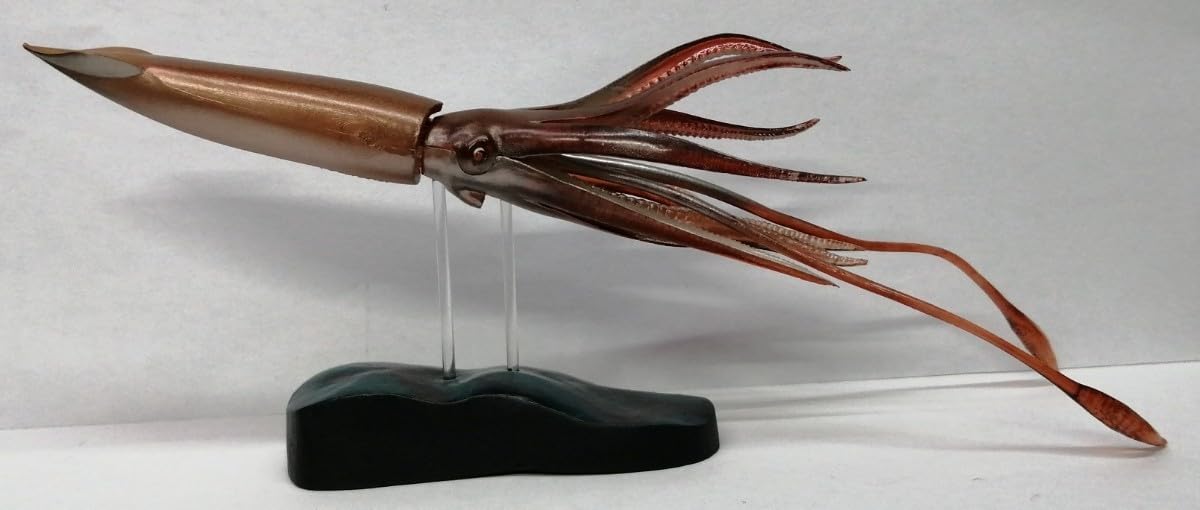 イカ大王 Amazon | ダイオウイカ 大王烏賊 大王イカ イカ 烏賊 GIANT SQUID